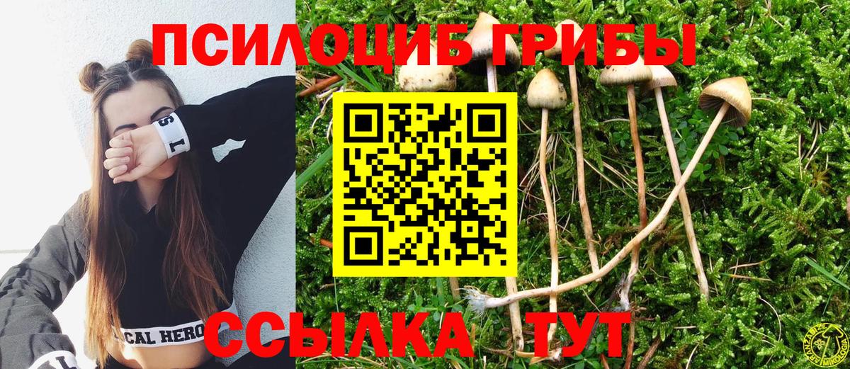 Галлюциногенные грибы ЛСД  Вход с VPN  Галлюциногенные грибы Magic Shrooms  Невинномысск 